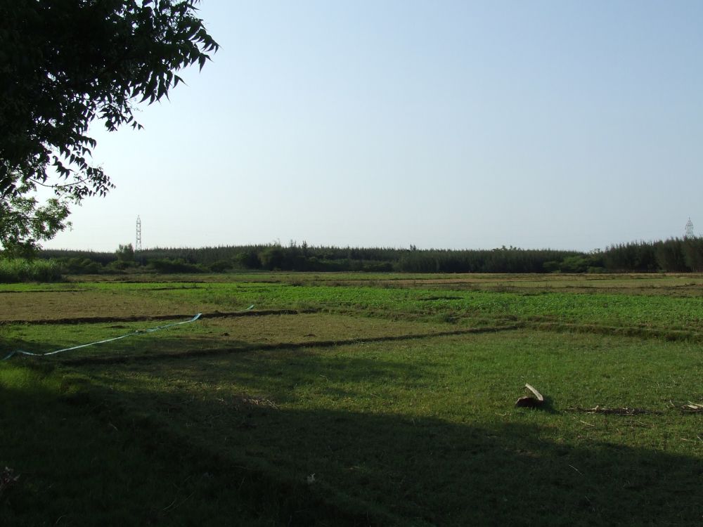 Galleries