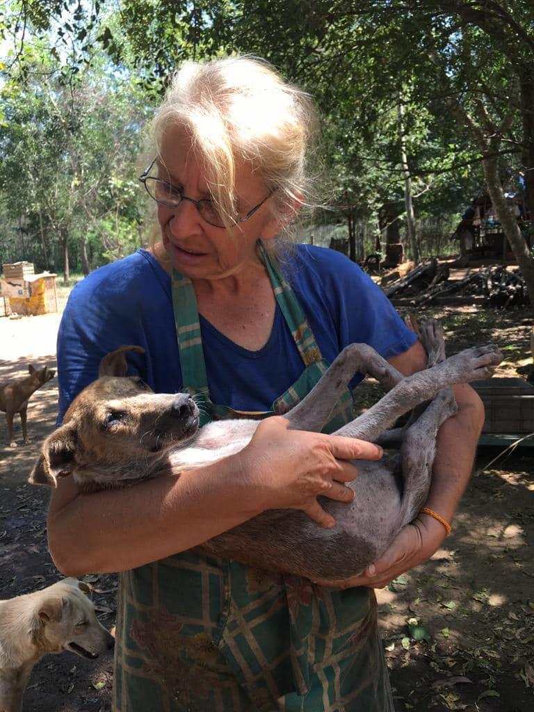 Galleries